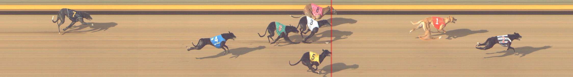 Photo finish for Shepparton Race 9