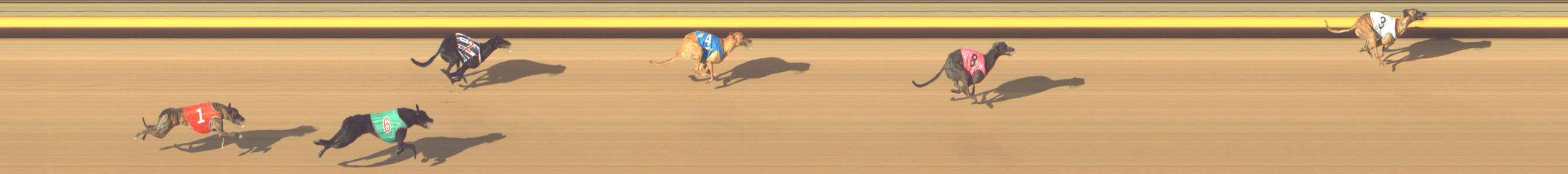 Photo finish for Shepparton Race 10