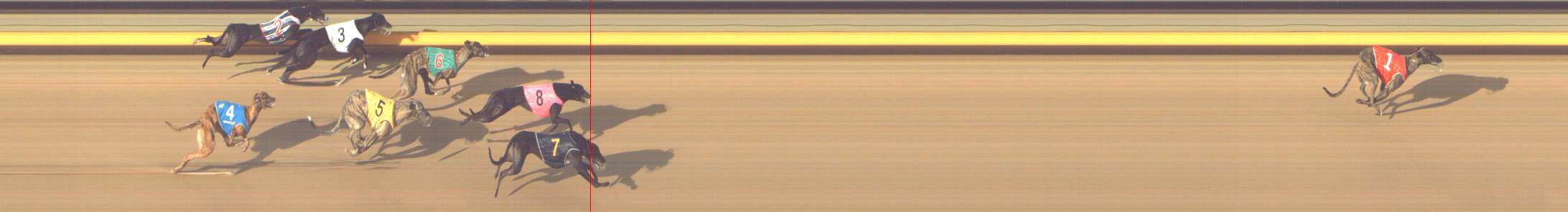 Photo finish for Shepparton Race 11