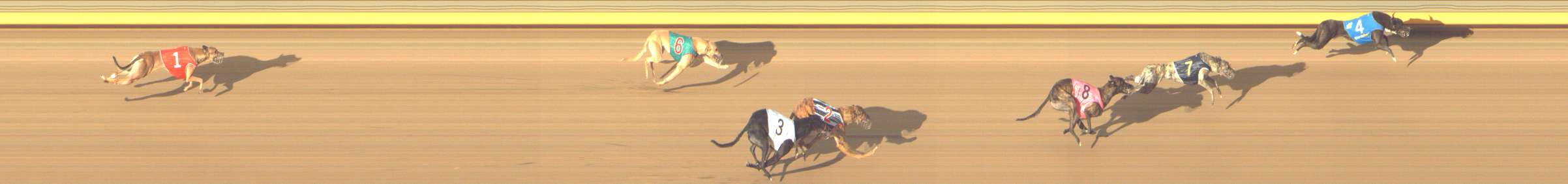 Photo finish for Shepparton Race 12