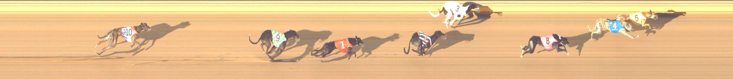 Photo finish for Shepparton Race 13