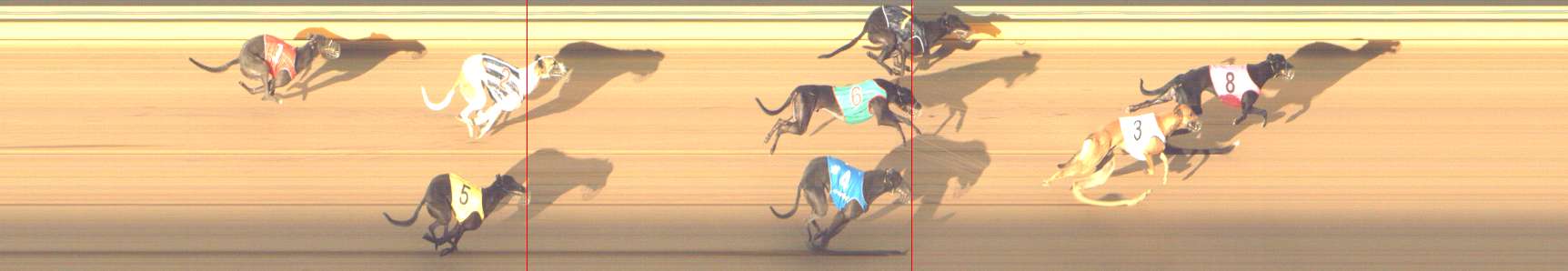 Photo finish for Shepparton Race 14