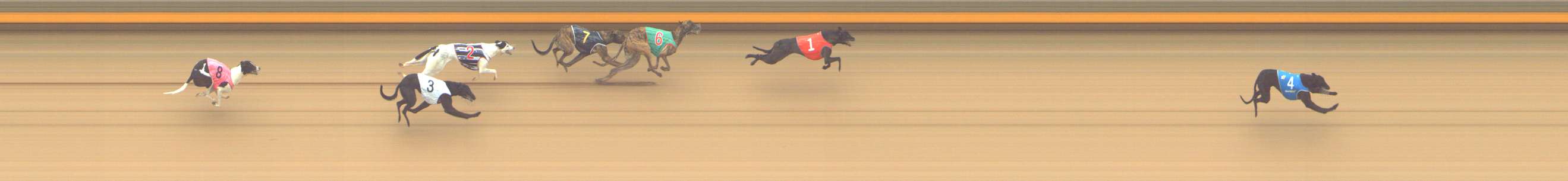 Photo finish for Shepparton Race 1