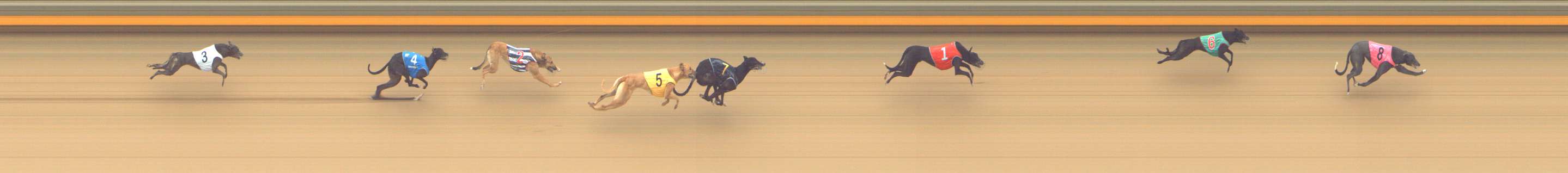 Photo finish for Shepparton Race 2