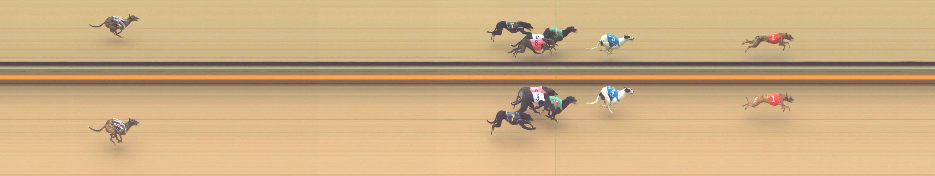 Photo finish for Shepparton Race 3