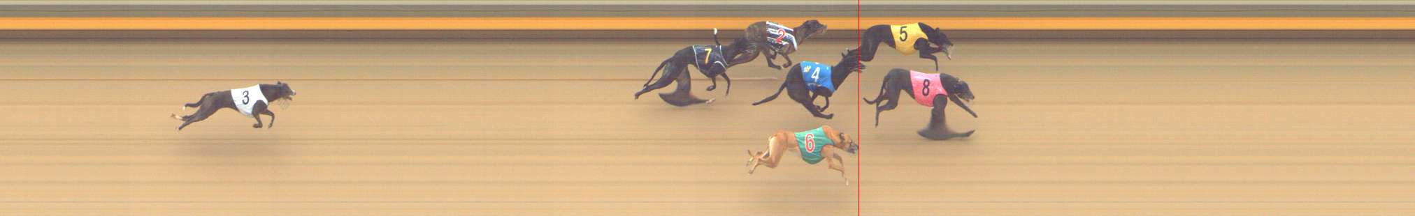 Photo finish for Shepparton Race 5