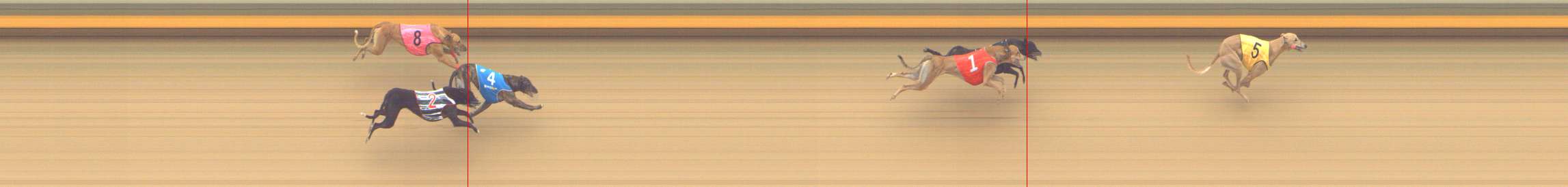 Photo finish for Shepparton Race 6