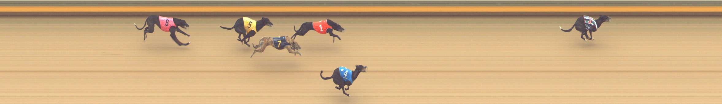 Photo finish for Shepparton Race 8