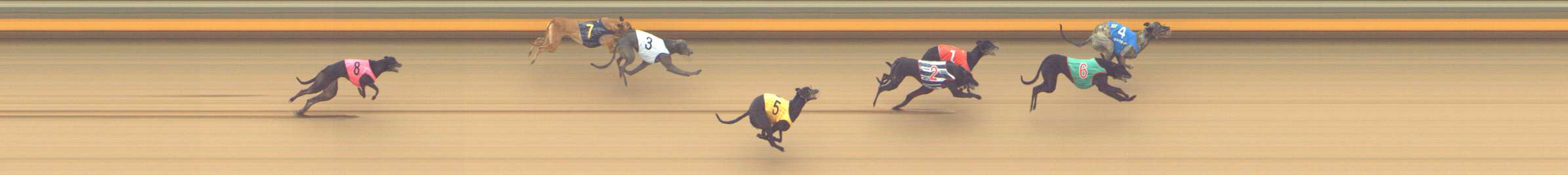Photo finish for Shepparton Race 9
