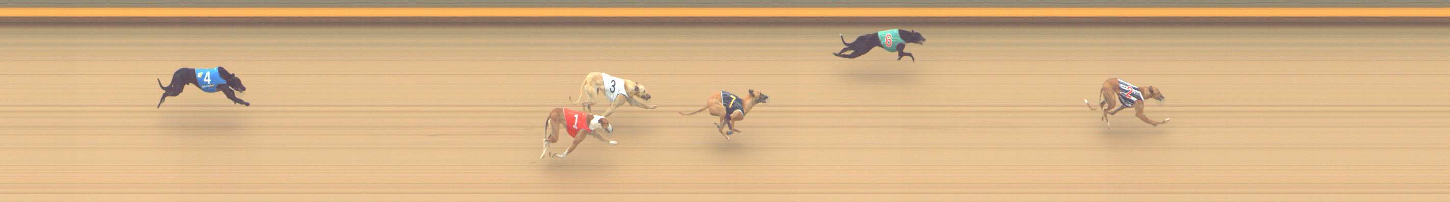 Photo finish for Shepparton Race 10