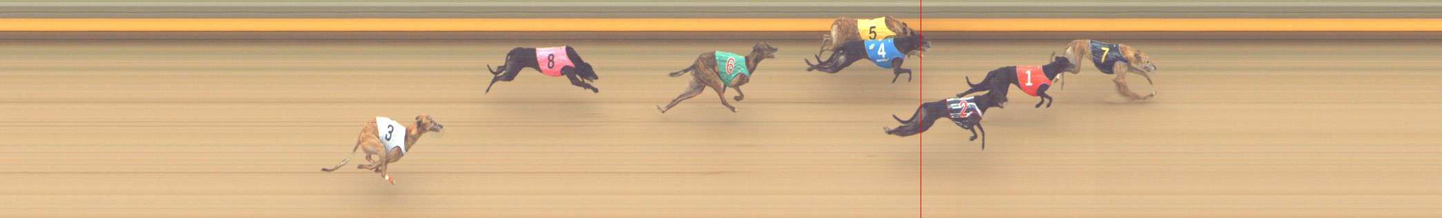 Photo finish for Shepparton Race 11