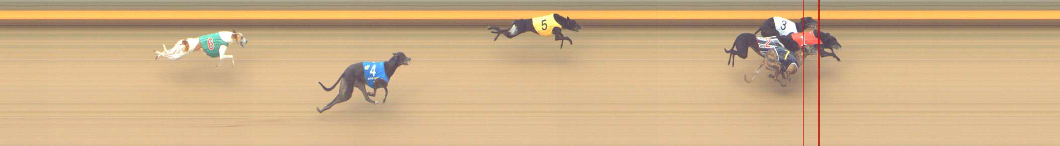 Photo finish for Shepparton Race 12