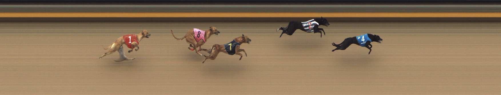 Photo finish for Shepparton Race 1