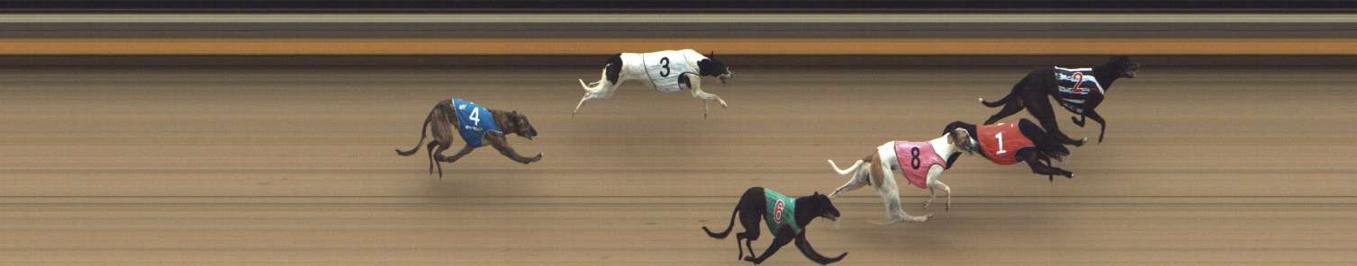 Photo finish for Shepparton Race 10
