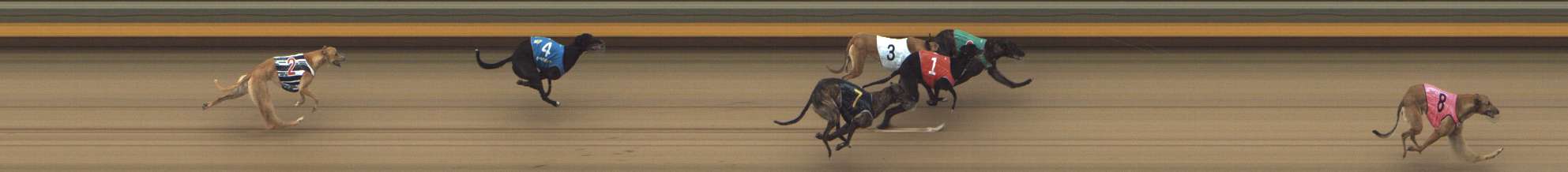 Photo finish for Shepparton Race 11