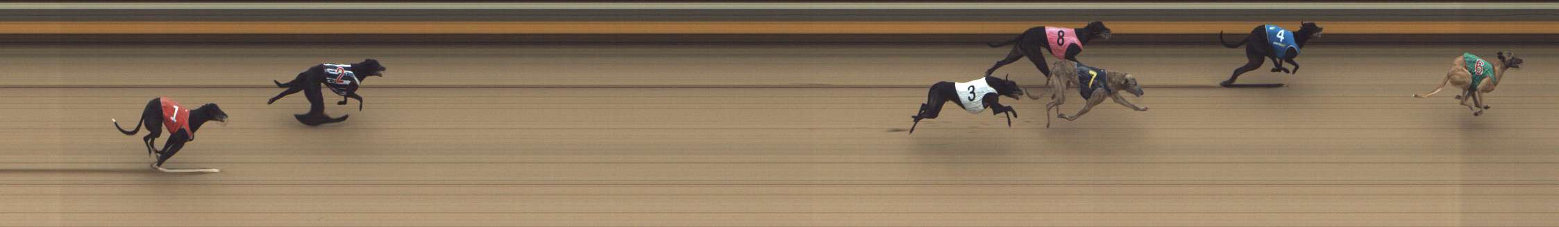 Photo finish for Shepparton Race 12