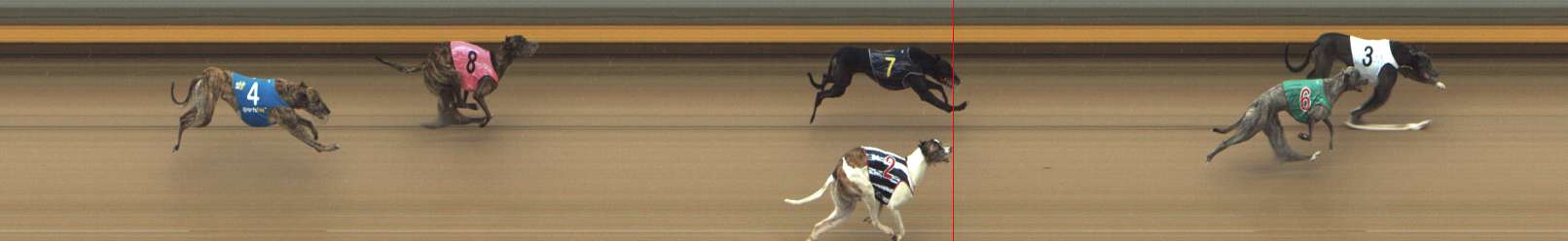 Photo finish for Shepparton Race 13
