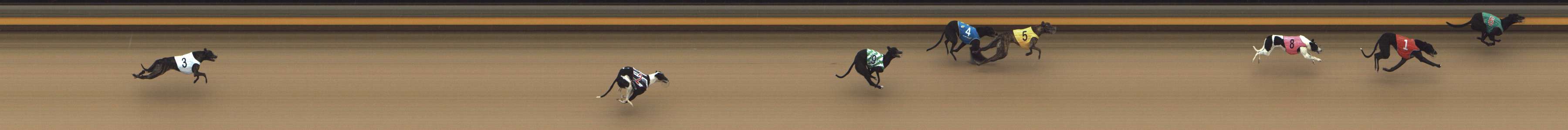 Photo finish for Shepparton Race 2