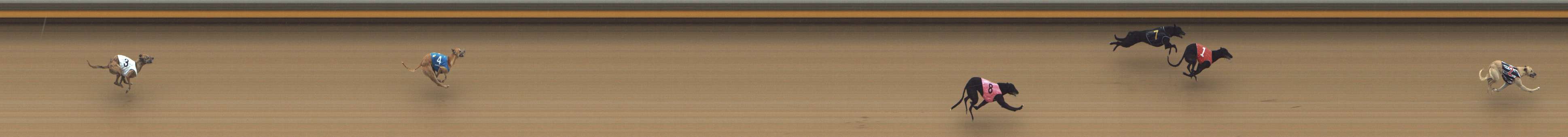 Photo finish for Shepparton Race 3