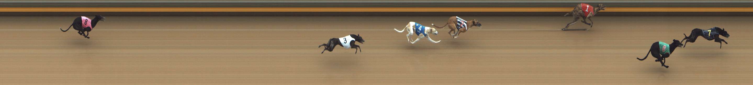 Photo finish for Shepparton Race 4