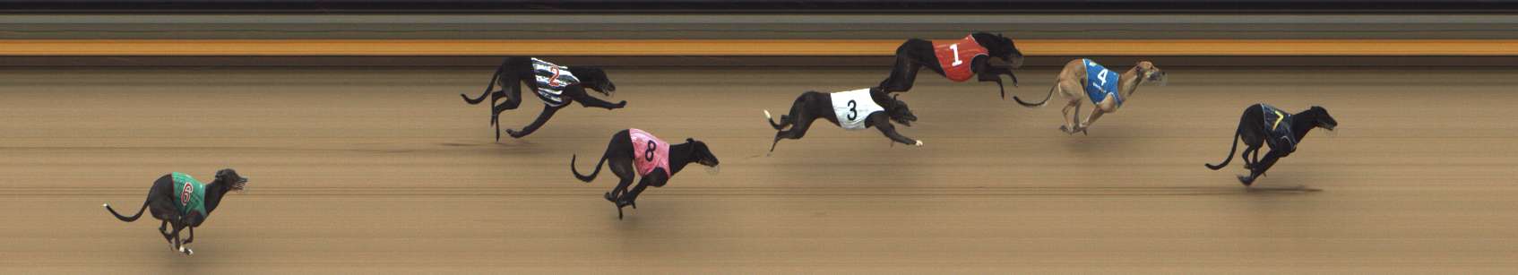 Photo finish for Shepparton Race 5