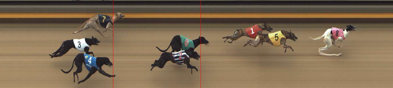 Photo finish for Shepparton Race 6