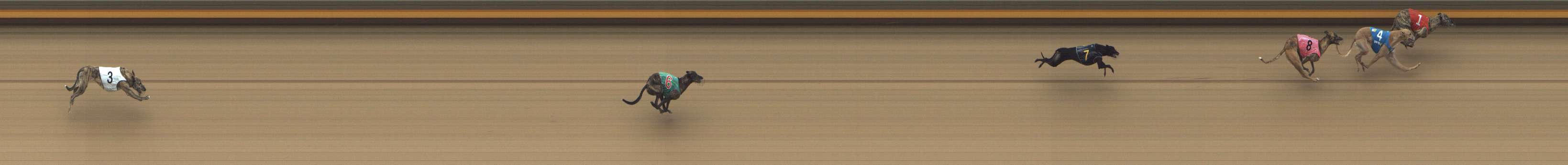Photo finish for Shepparton Race 7