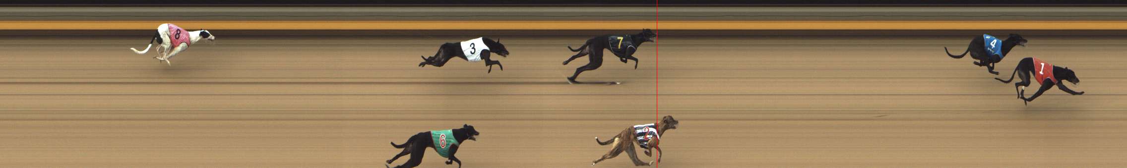 Photo finish for Shepparton Race 8