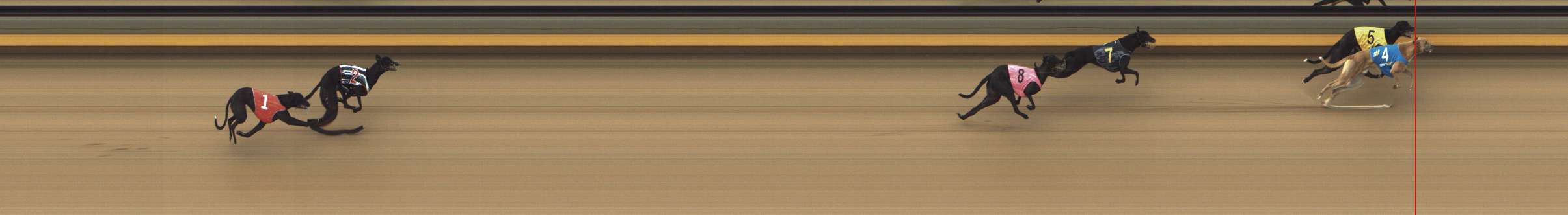 Photo finish for Shepparton Race 9