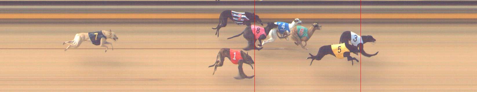 Photo finish for Shepparton Race 1