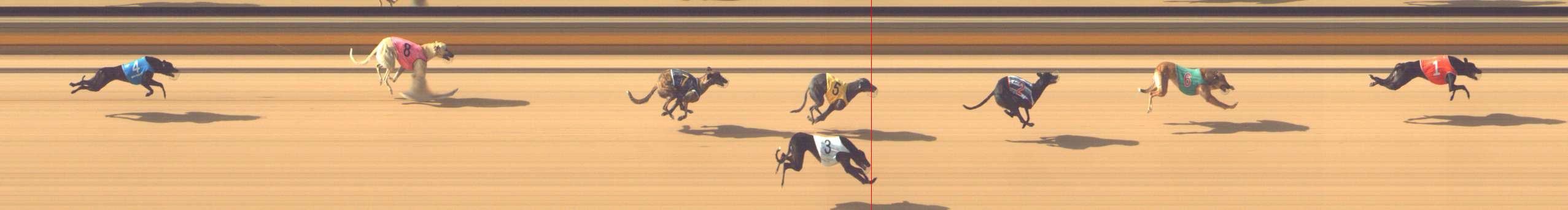 Photo finish for Shepparton Race 2