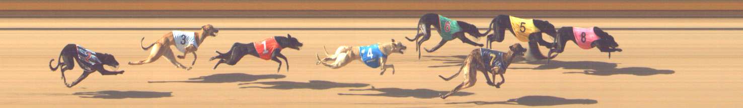 Photo finish for Shepparton Race 3