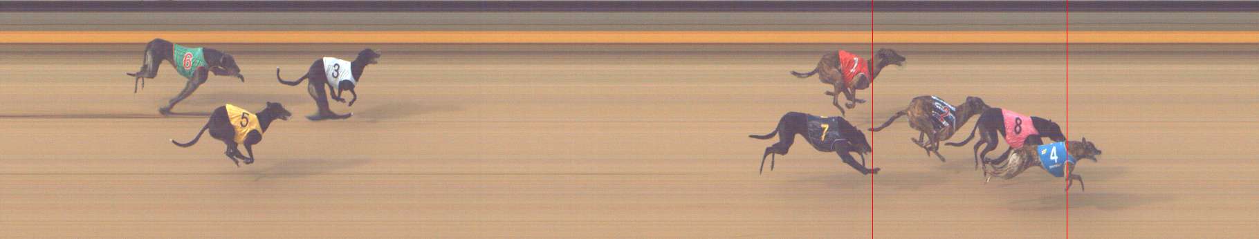 Photo finish for Shepparton Race 6