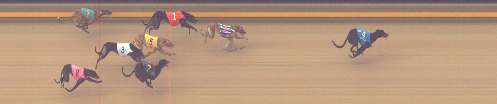 Photo finish for Shepparton Race 7