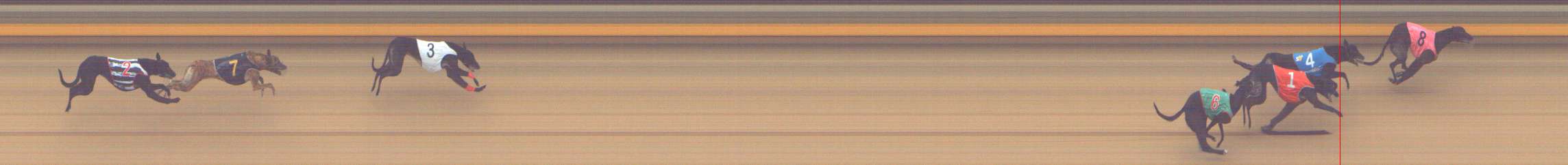 Photo finish for Shepparton Race 8