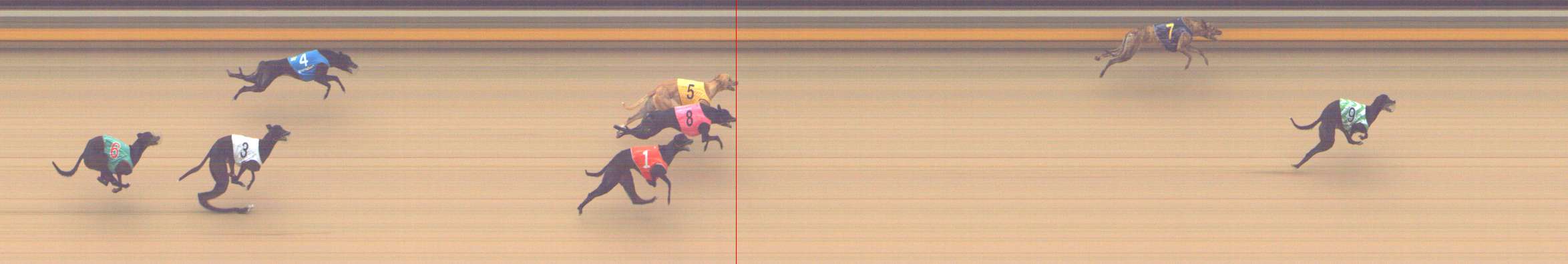 Photo finish for Shepparton Race 9
