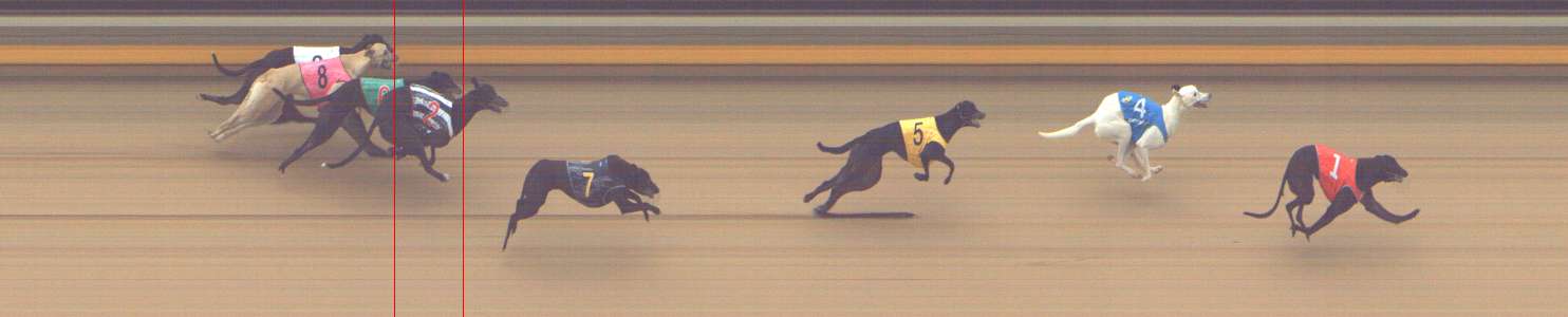 Photo finish for Shepparton Race 10