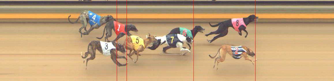 Photo finish for Shepparton Race 11