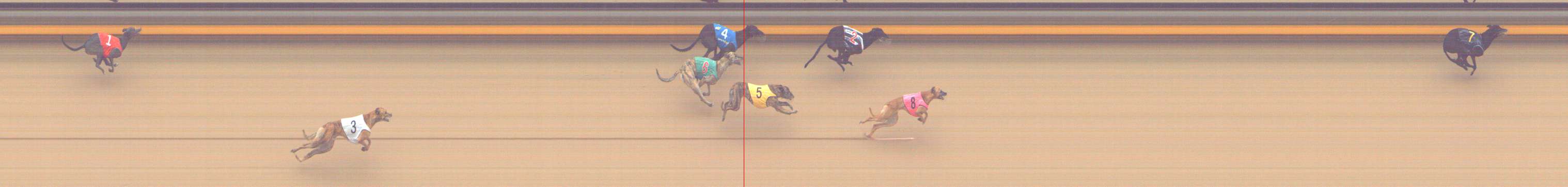 Photo finish for Shepparton Race 13
