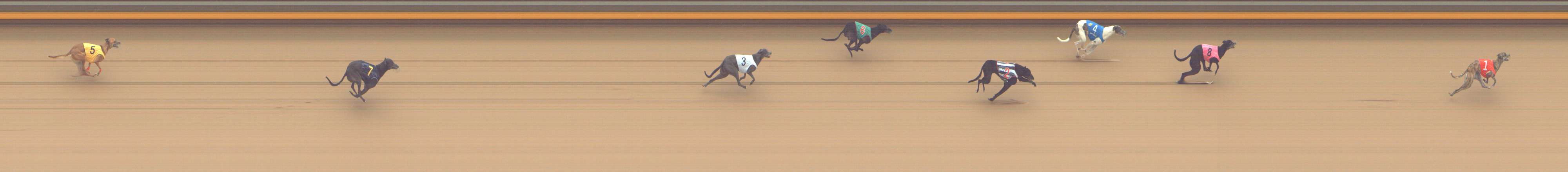 Photo finish for Shepparton Race 14