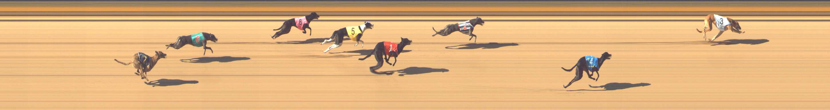 Photo finish for Shepparton Race 3