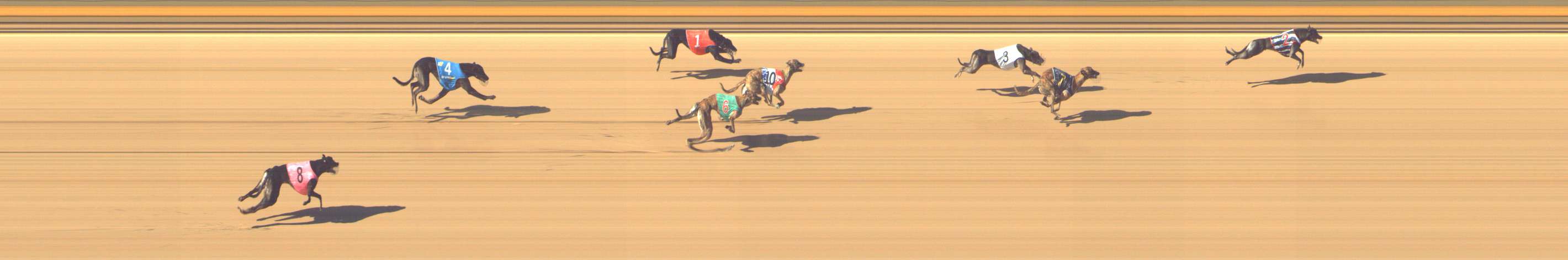 Photo finish for Shepparton Race 4