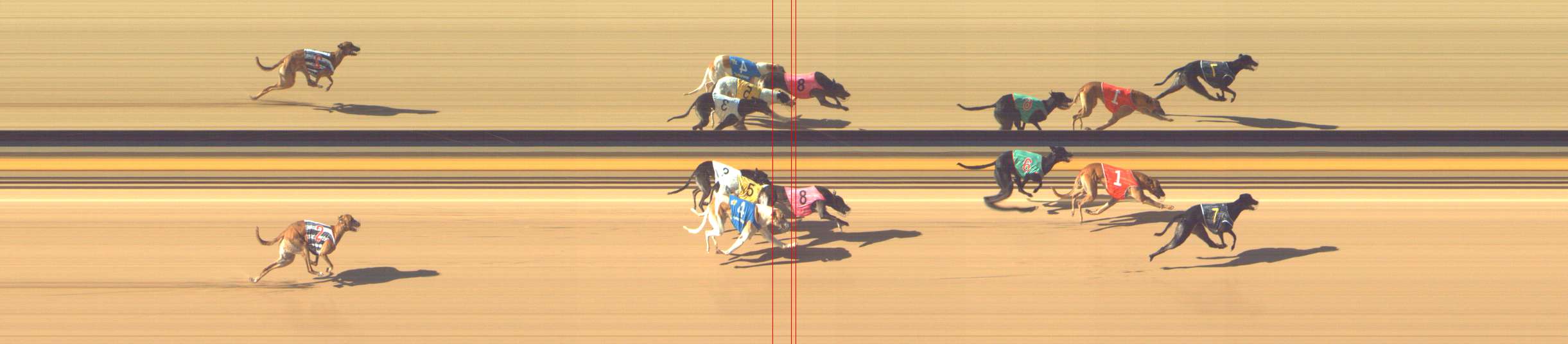 Photo finish for Shepparton Race 5