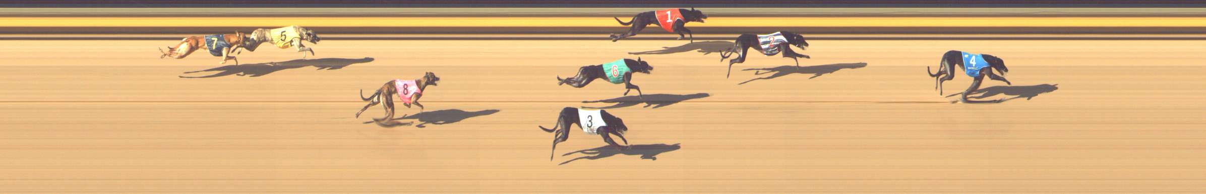 Photo finish for Shepparton Race 6