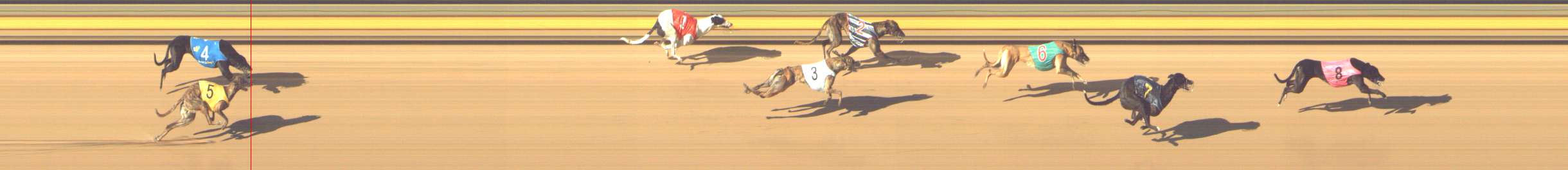 Photo finish for Shepparton Race 7