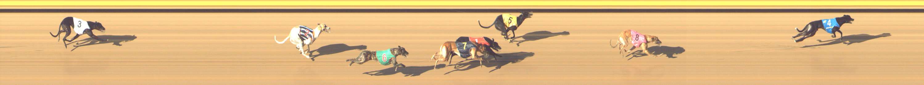 Photo finish for Shepparton Race 8
