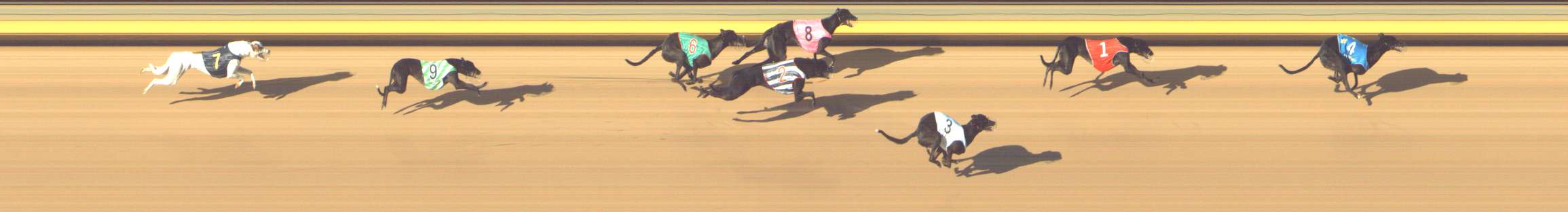 Photo finish for Shepparton Race 9