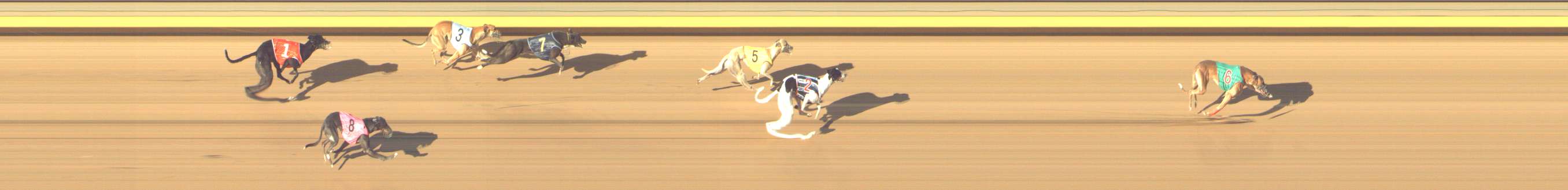 Photo finish for Shepparton Race 10
