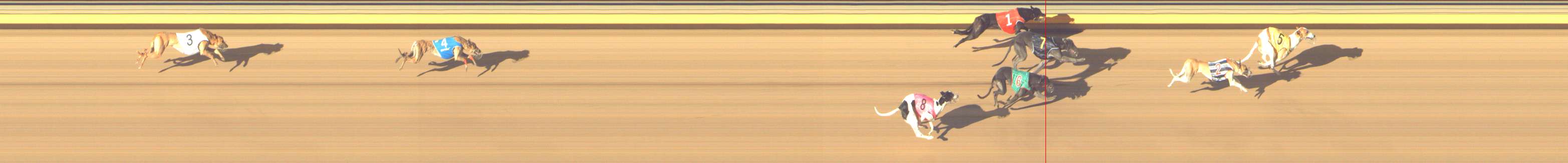 Photo finish for Shepparton Race 11