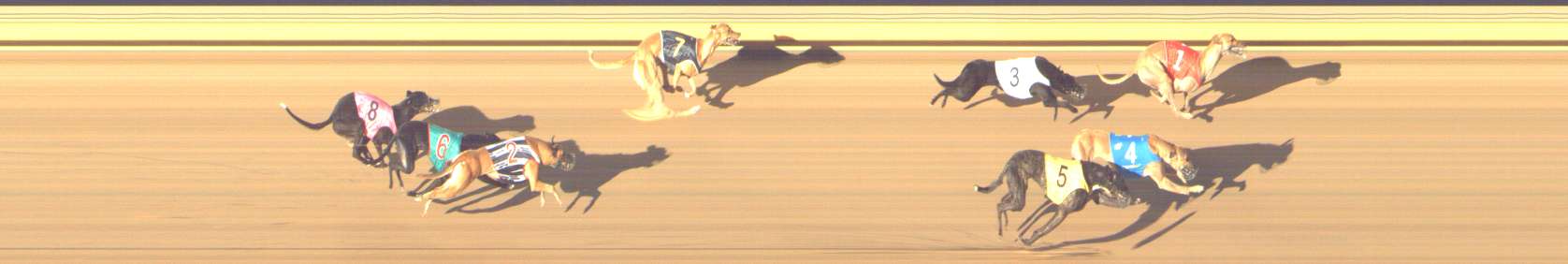 Photo finish for Shepparton Race 12